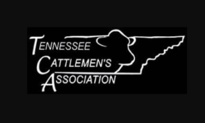 tennessee cattlemens association 